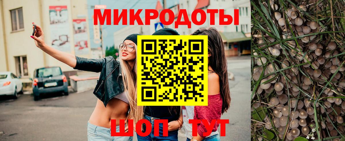 Галлюциногенные грибы Cubensis Кандалакша